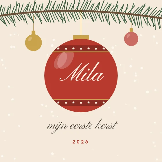 Mijn eerste kerst