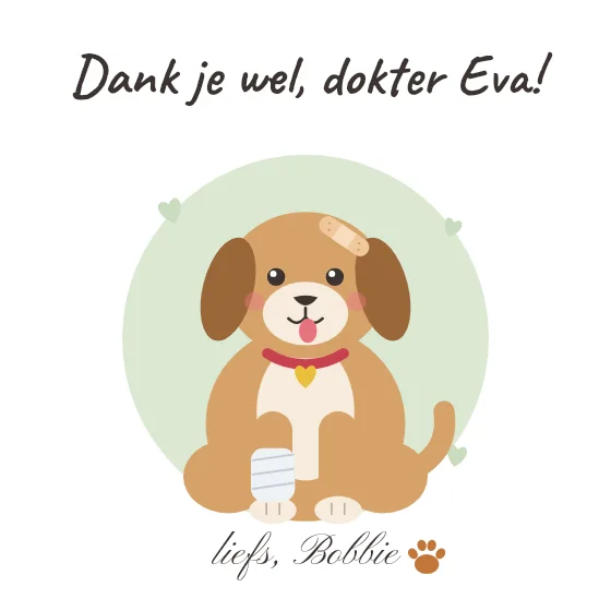 Voor de dierenarts