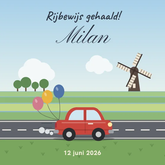 Rijbewijs gehaald