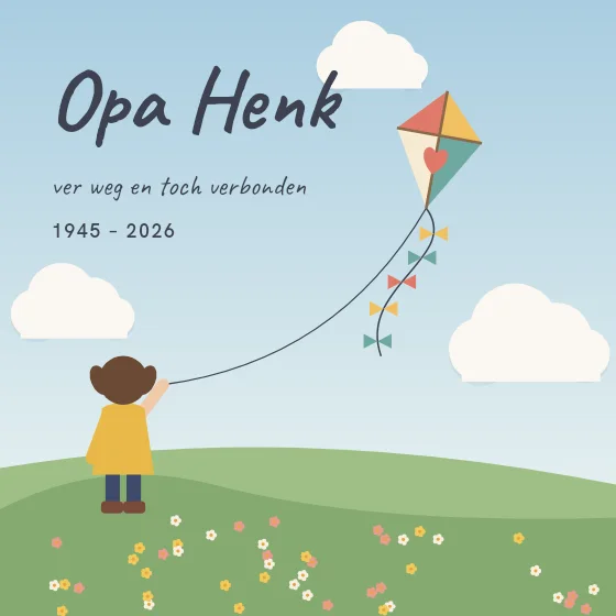 Vlieger in de lucht
