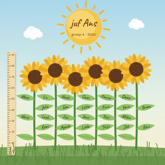 Zonnebloemen langs de meetlat