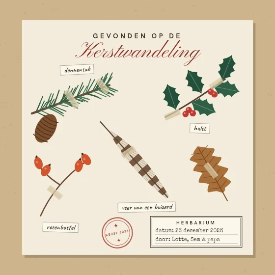 Gevonden op de kerstwandeling