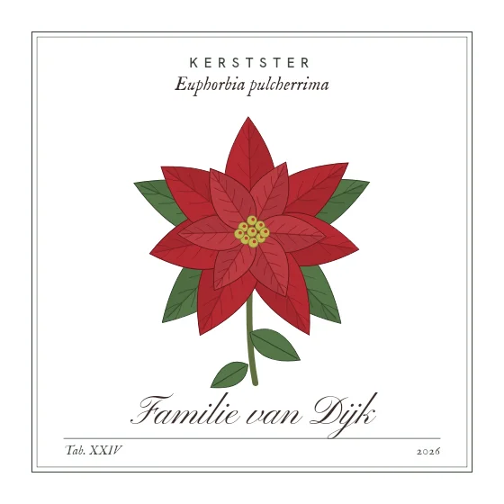 Kerstster
