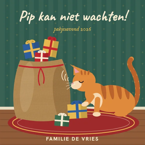 De kat bij de pakjes