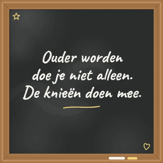 Tegeltje "Ouder worden doe je niet alleen"