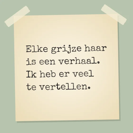 Tegeltje "Elke grijze haar is een verhaal"