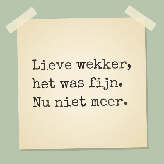 Tegeltje "Lieve wekker, het was fijn"