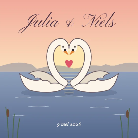 Twee zwanen