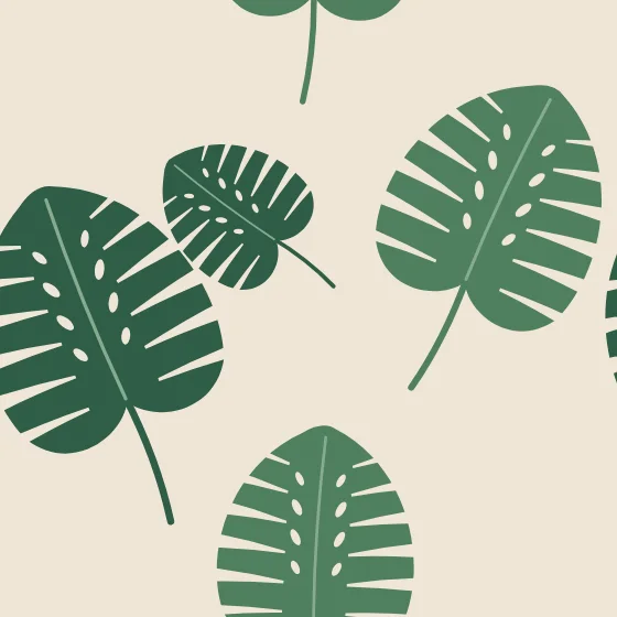 Monstera